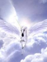 亚洲天马视频,探索东方影视魅力之旅