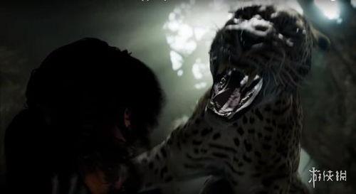 亚洲猛虎视频,野生王者之神秘生活揭秘