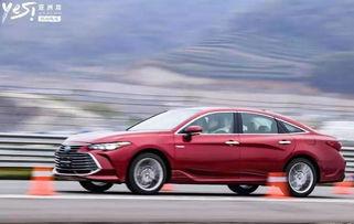 亚洲龙战争视频,震撼视听的史诗对决